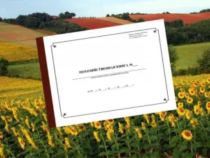 Об актуализации сведений